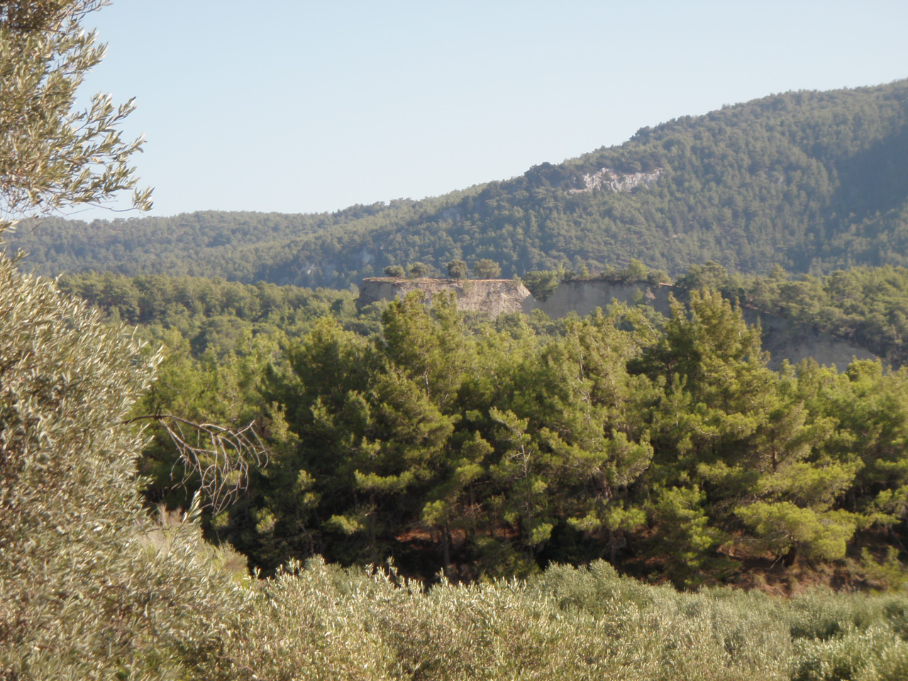 P8010544.JPG