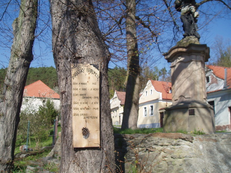 P1011490.JPG