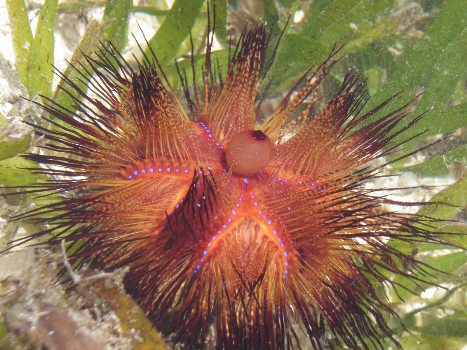P4171328