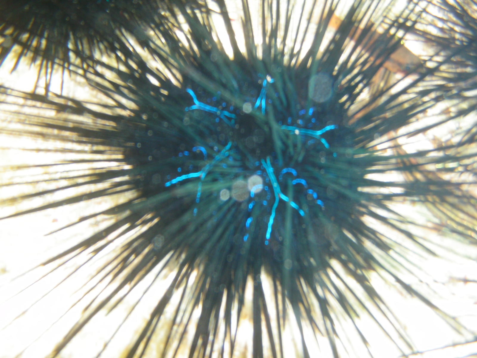P4171404